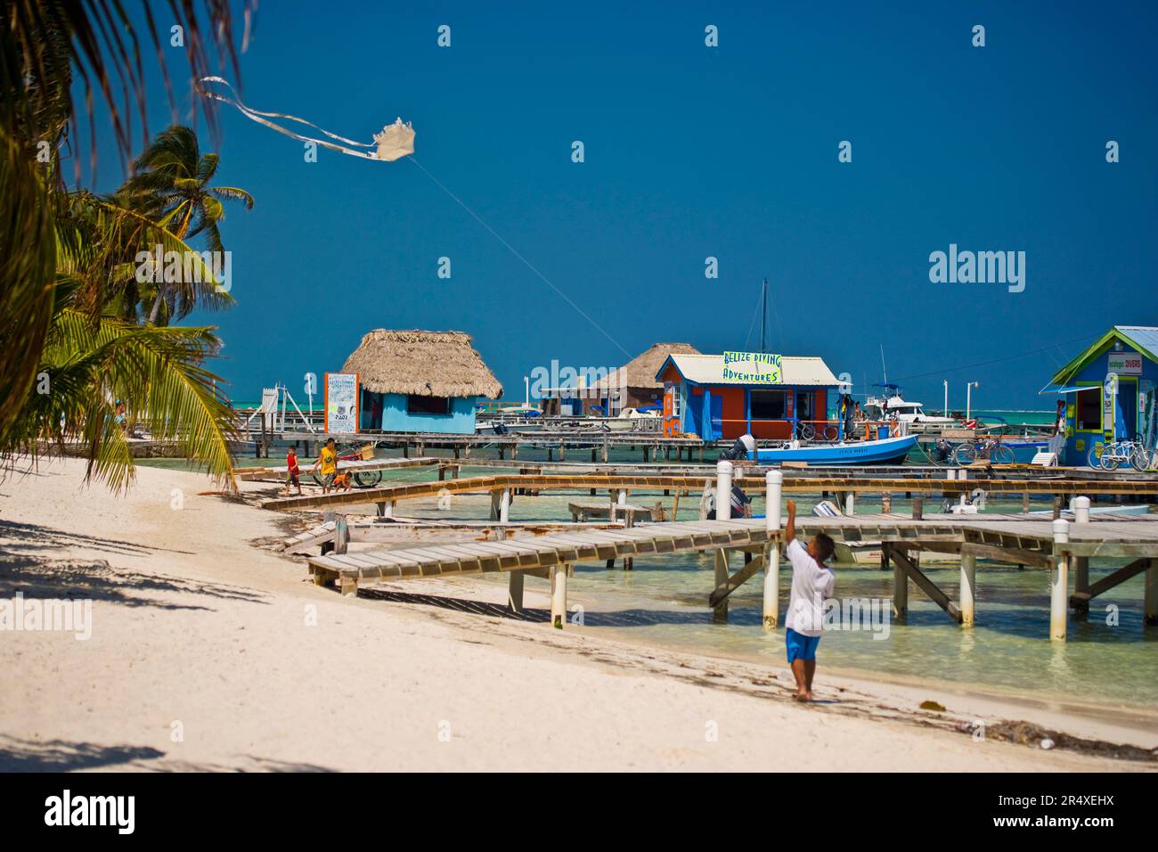 Drachenfliegen am Strand von Ambergris Cay; Ambergris Cay, Belize Stockfoto