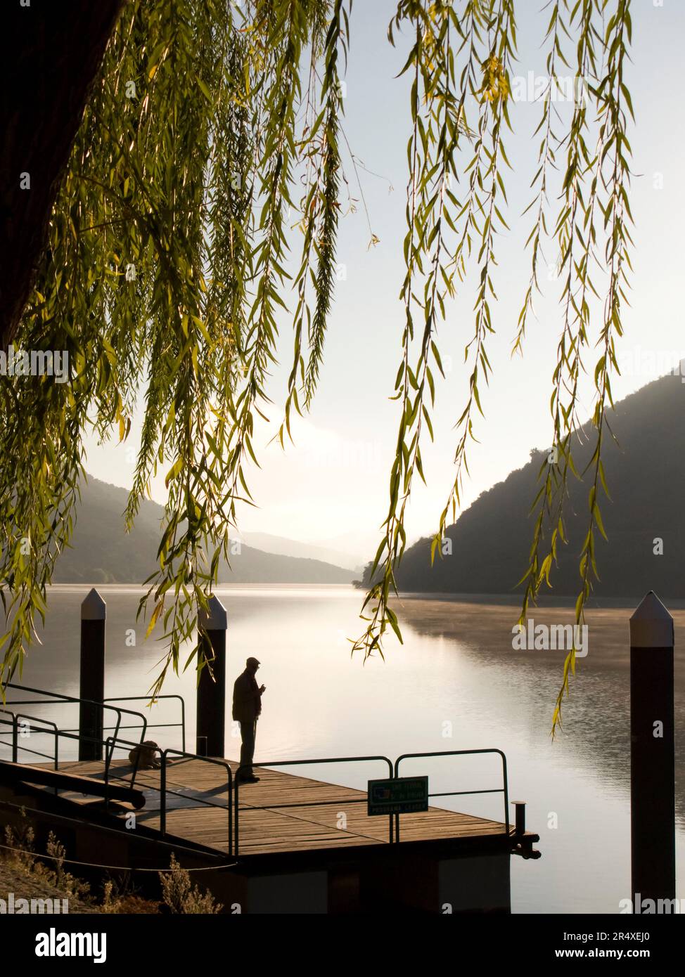 Mann an einem Dock am Fluss Douro; Tal des Flusses Douro, Portugal Stockfoto
