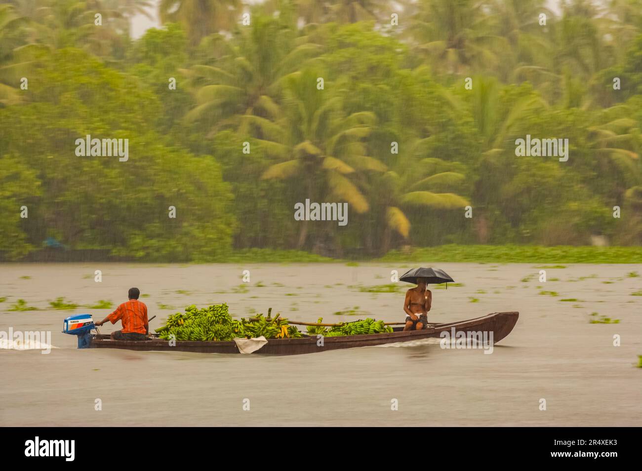 Männer, die im Regen in einem Kanu einen Fluss hinunterfahren; Kerala State, Indien Stockfoto