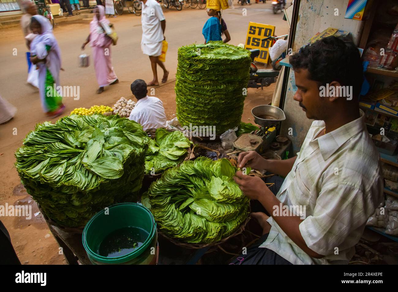 Lebensmittelhändler in Karaikudi, Indien; Karaikudi, Chettinad, Tamil Nadu, Indien Stockfoto Lebensmittelhändler in Karaikudi, Indien; Karaikudi, Chettinad, Tamil Nadu, Indien Stockfoto