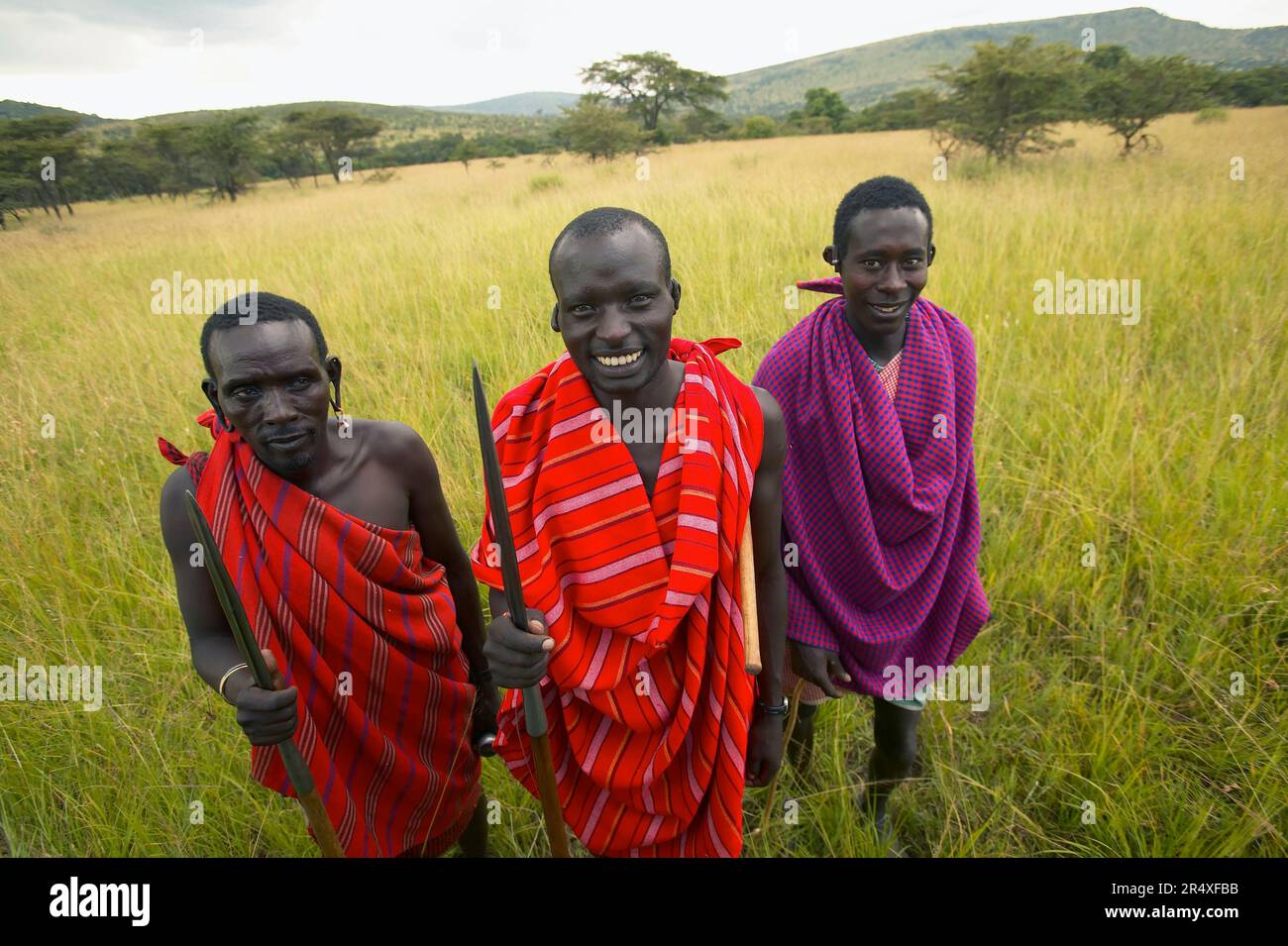 Drei lächelnde Masai-Männer mit Lanzen in einer afrikanischen Graslandschaft im Masai Mara National Reserve; Kenia Stockfoto