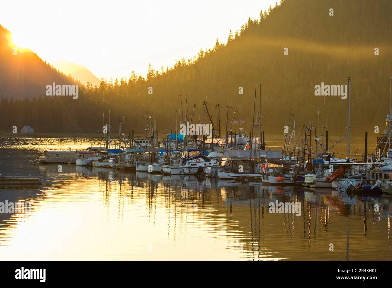 Fischerboote im Hafen bei Sonnenuntergang; Petersburg, Mitkof Island, Alaska, Vereinigte Staaten von Amerika Stockfoto