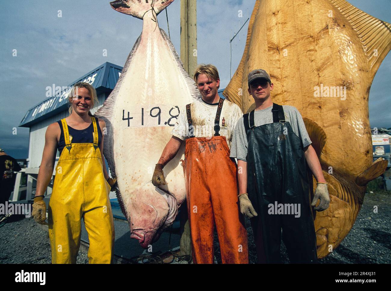 Dieser 419,8 Pfund schwere Heilbutt ist der größte, der in der Kachemak Bay gefangen wird; Homer, Kenai Peninsula, Alaska, Vereinigte Staaten von Amerika Stockfoto