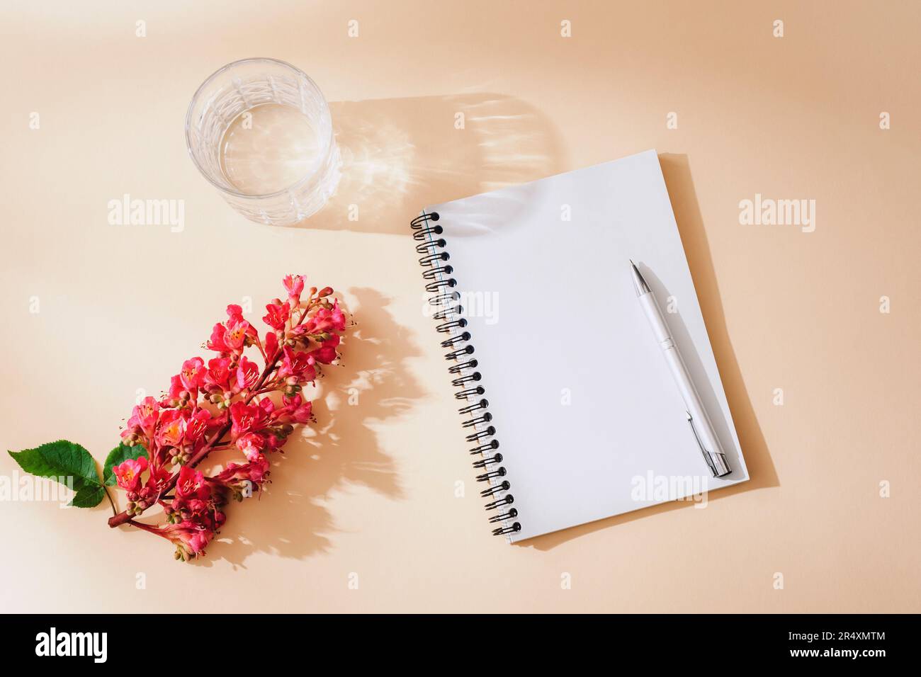 Unbeschriftetes Notizbuch mit Stift, Glas Wasser und Blüte des Äskulus Carnea auf neutralem Hintergrund mit langen Schatten. Urlaubskonzept. Draufsicht, flaches Lay, Modell Stockfoto