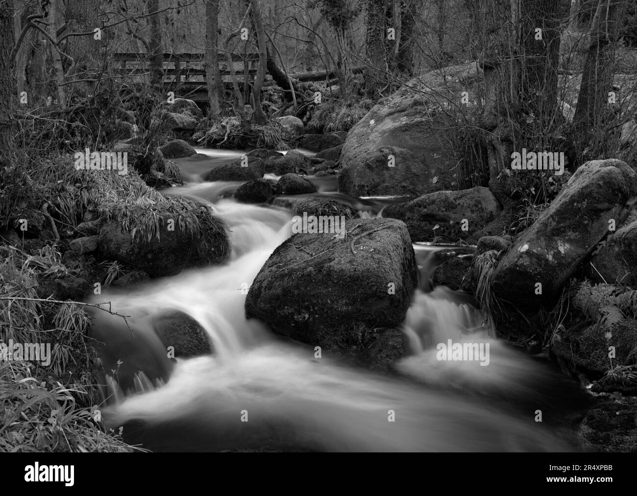 Barr Brook, Derbyshire Peak District mit Wildwasser, das über die Felsen und Felsen rauscht Stockfoto