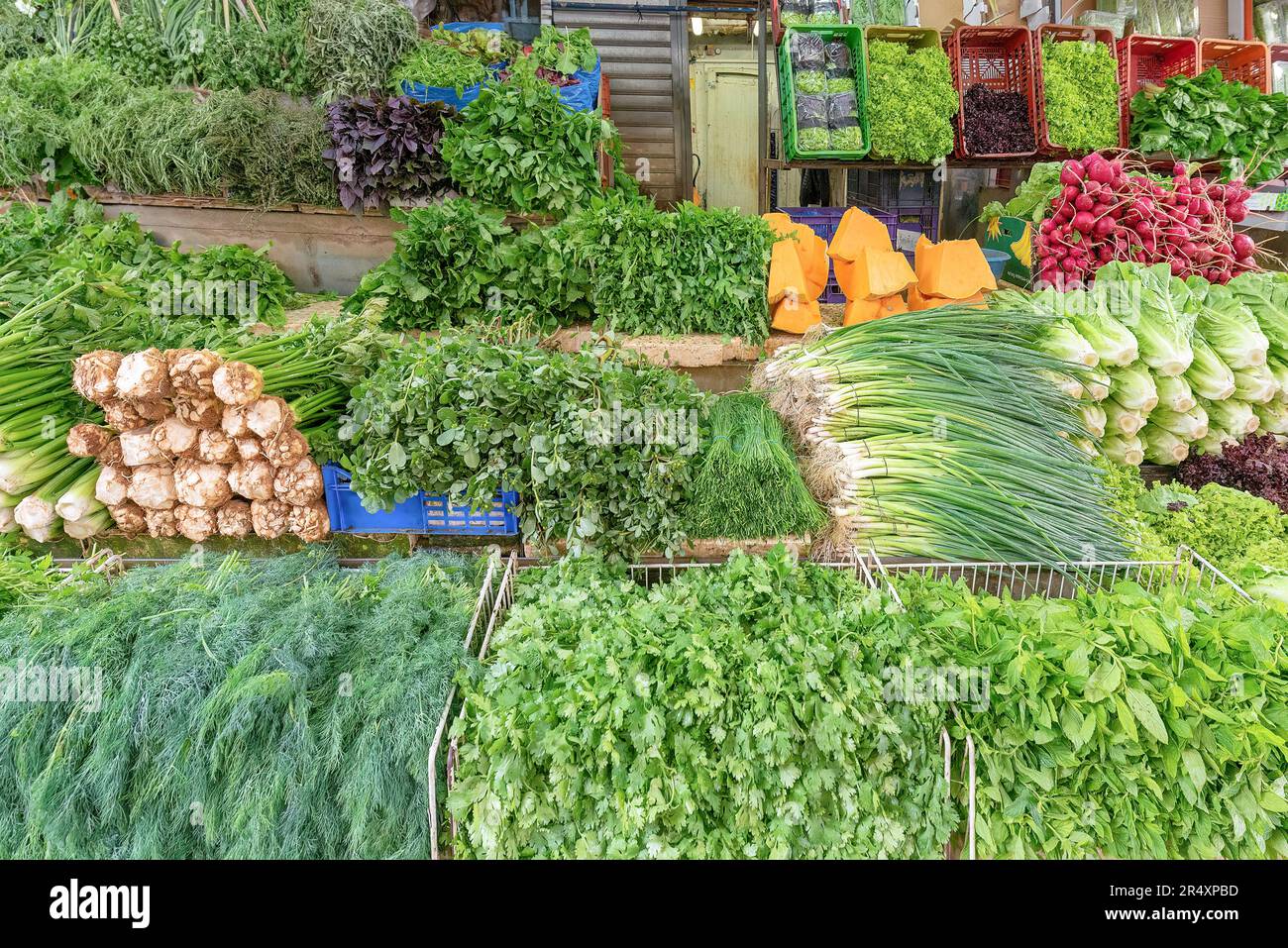 Frisches Gemüse auf einem israelischen Markt, Jerusalem Stockfoto