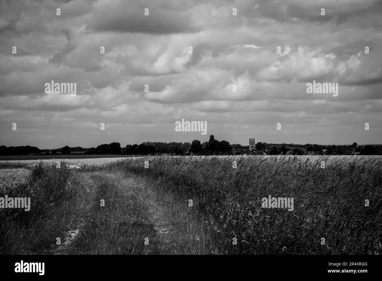 Blick auf die Kersey Kirche in der Landschaft von Suffolk Stockfoto