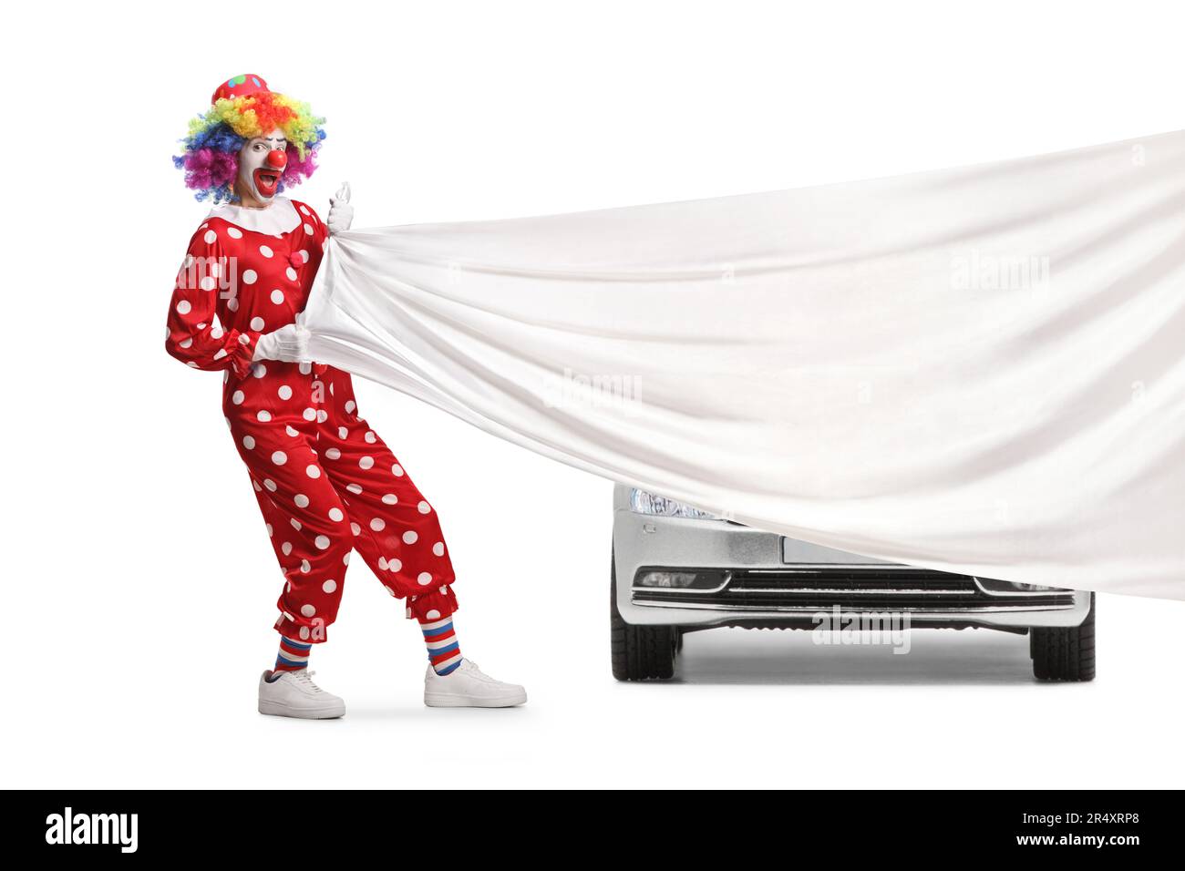 Ein Clown zieht ein weißes Tuch vor einem neuen Auto, isoliert auf weißem Hintergrund Stockfoto