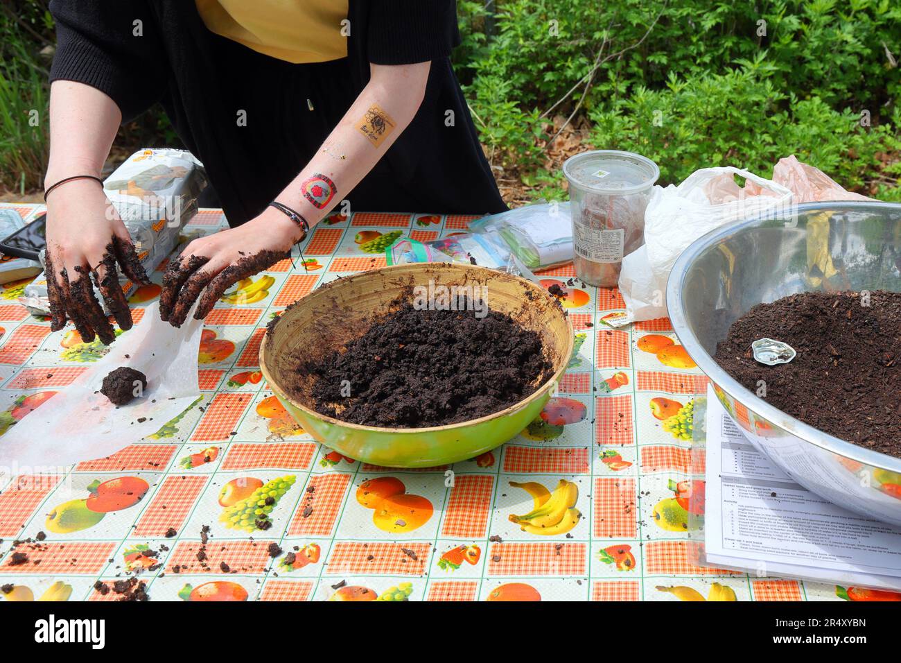 Eine Bee Conservancy-Person demonstriert, wie sie einheimische Wildblumen-Samenbomben, Samenbälle, in Earth Matter auf Govenors Island, New York, herstellt. Stockfoto