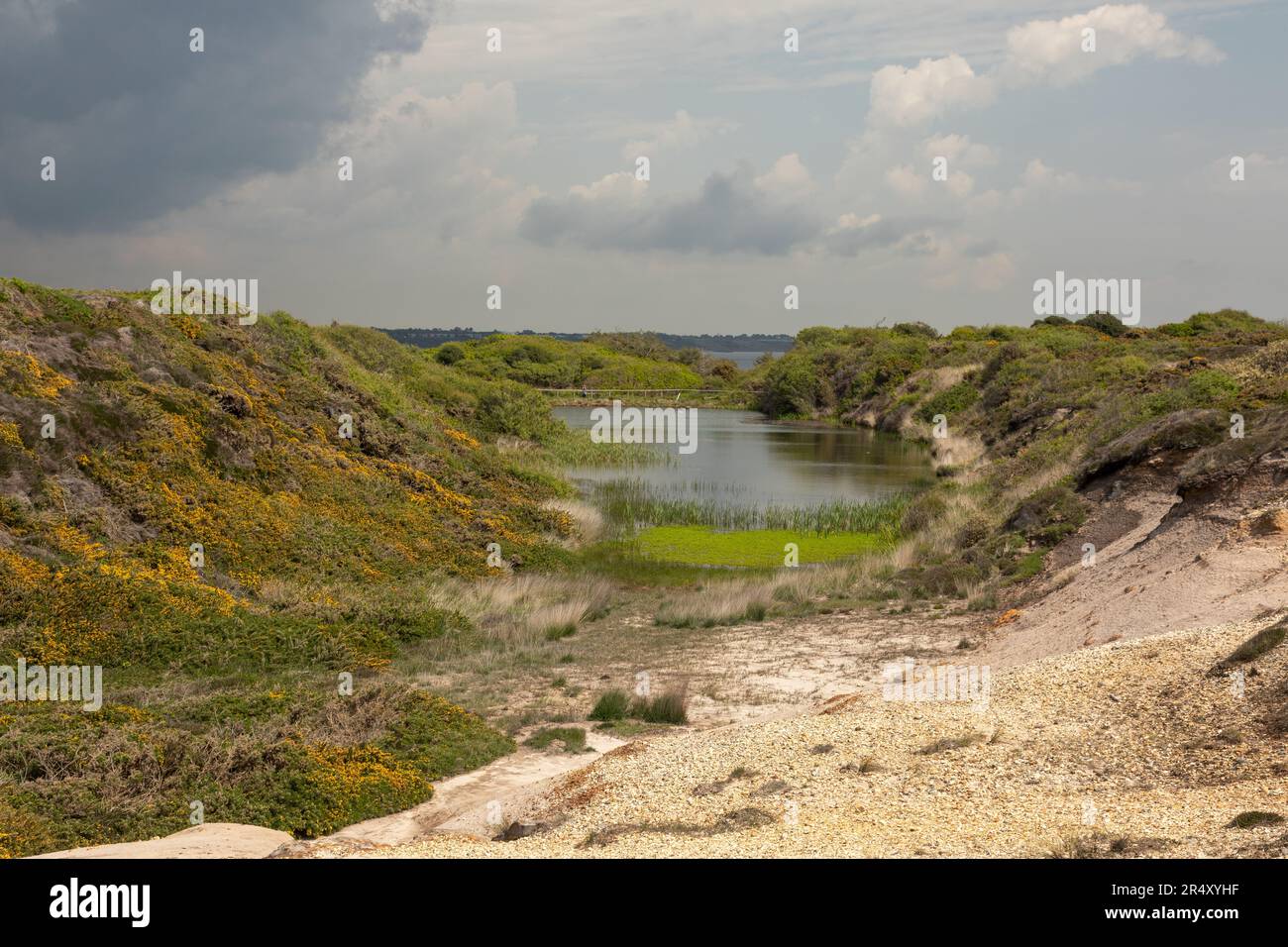 Steinbruchteich in Hengistbury Head. Eine alte Eisensteinmine und jetzt ein Schutzgebiet. Hengistbury Head, Dorset, England, Großbritannien Stockfoto