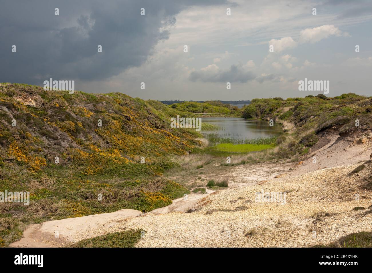 Steinbruchteich in Hengistbury Head. Eine alte Eisensteinmine und jetzt ein Schutzgebiet. Hengistbury Head, Dorset, England, Großbritannien Stockfoto
