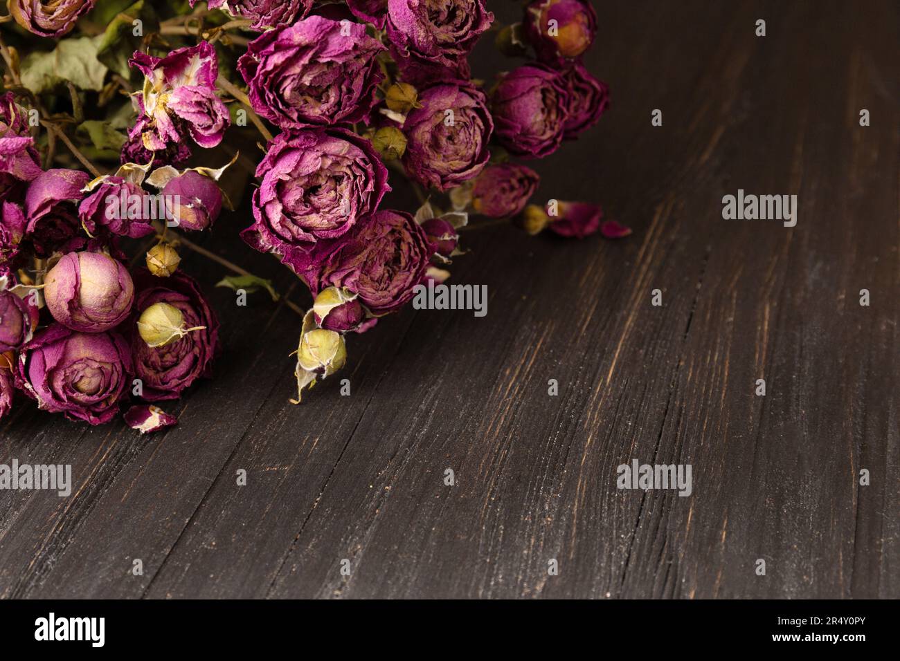 Strauß trockener rosafarbener Rosen auf dunklem Holzhintergrund, Nahaufnahme. Begriff der Einsamkeit oder des Alters. Traurigkeit, unglückliche Liebe. Stockfoto