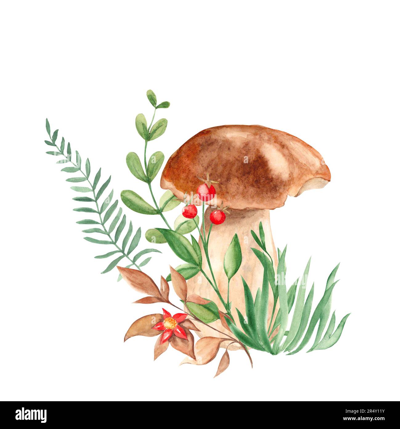 Aquarell-Waldkomposition. Steinpilze, grüne Äste, Gras, rote Beeren und Blume. Botanische handgezeichnete Illustration isoliert auf weiß Stockfoto