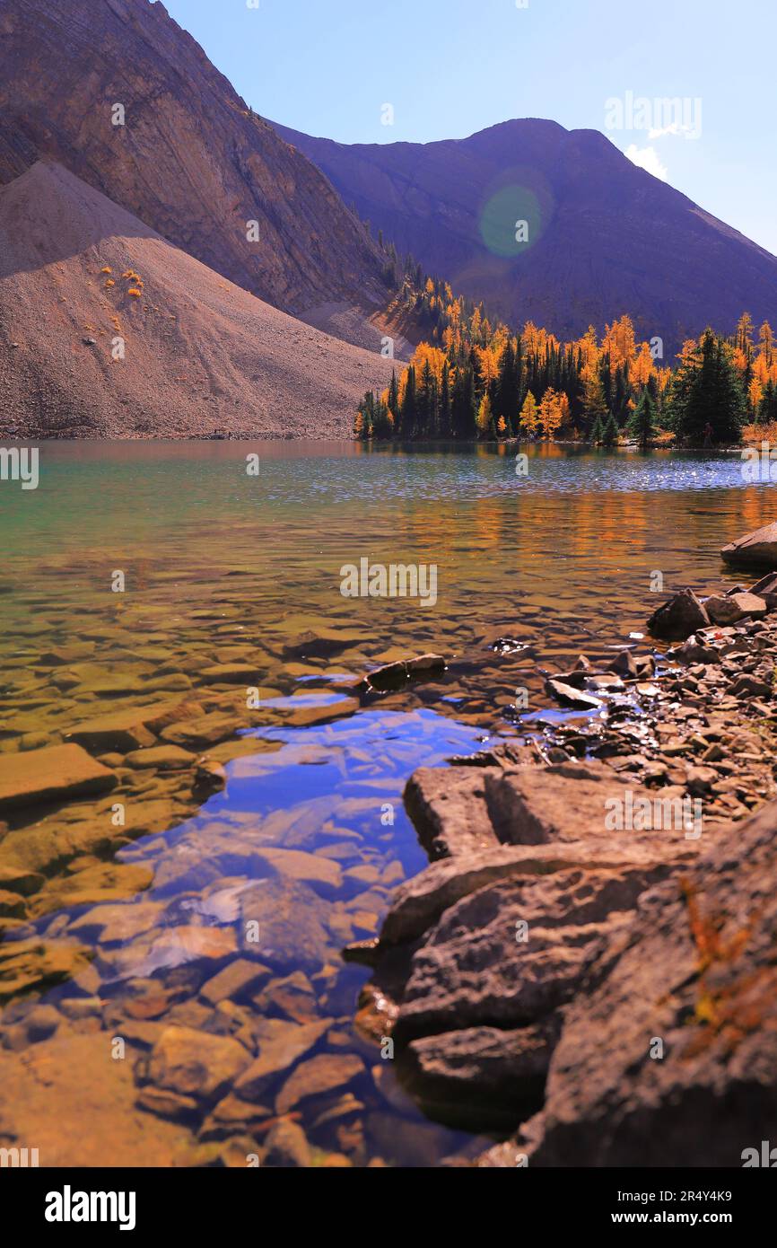Hier sehen Sie ein Bild von Chester Lake im Herbst, mit den goldenen Lärchen rund um den See. Stockfoto