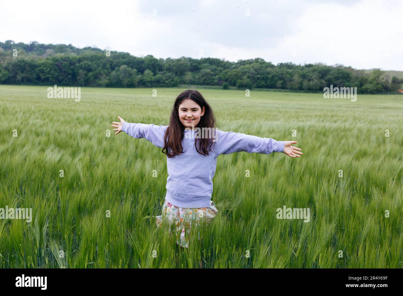 Ein Mädchen mit langen Haaren im lila Pullover steht mit offenen Armen auf dem Weizenfeld Stockfoto