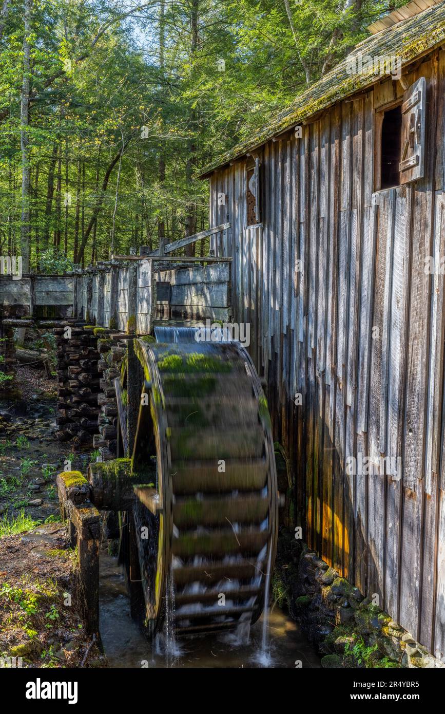 John P. Cable Grist Mill, Cades Cove, Great Smoky Mountains National Park, Tennessee Stockfoto