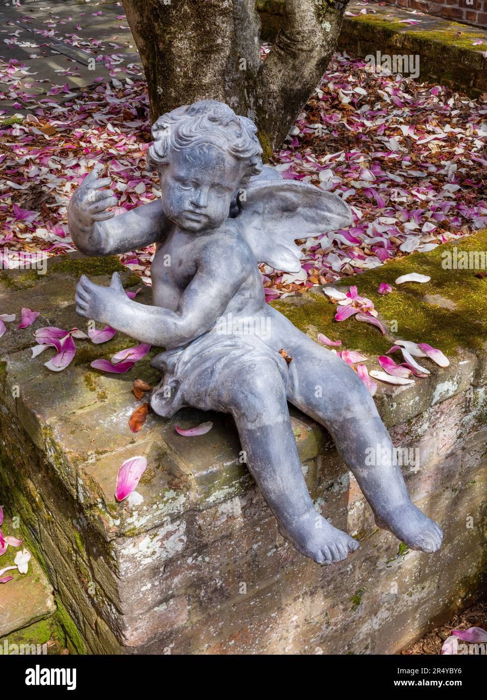 Engelsstatue und gefallene Magnolienblüten an einer Backsteinmauer im Copeland House, Mt. Cuba Center, Delaware Stockfoto