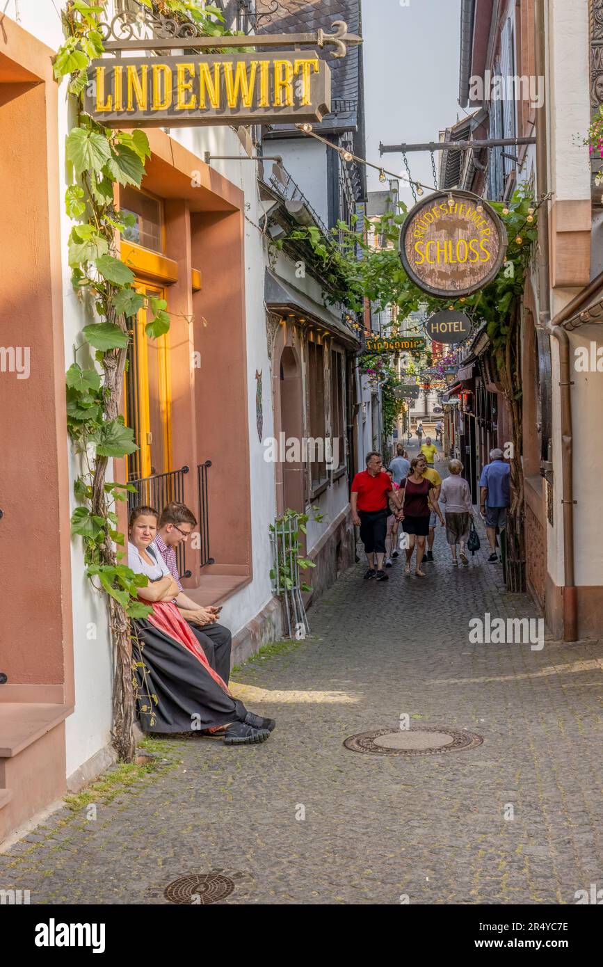 Die enge Kopfsteinpflasterstraße Drosselgasse in der Altstadt, Rudesheim, Deutschland Stockfoto