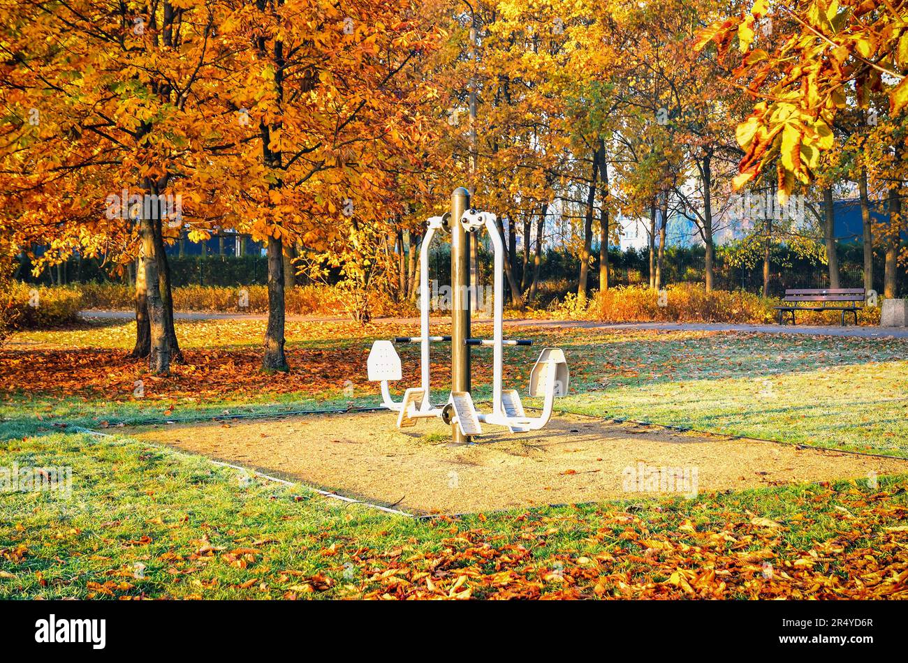 Sportthema mit Outdoor Gym. Das Übungsgerät im Herbstpark. Stockfoto