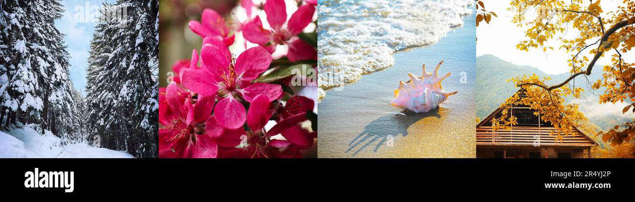Vier Jahreszeiten. Collage-Design mit wunderschönen Fotos der Natur Stockfoto