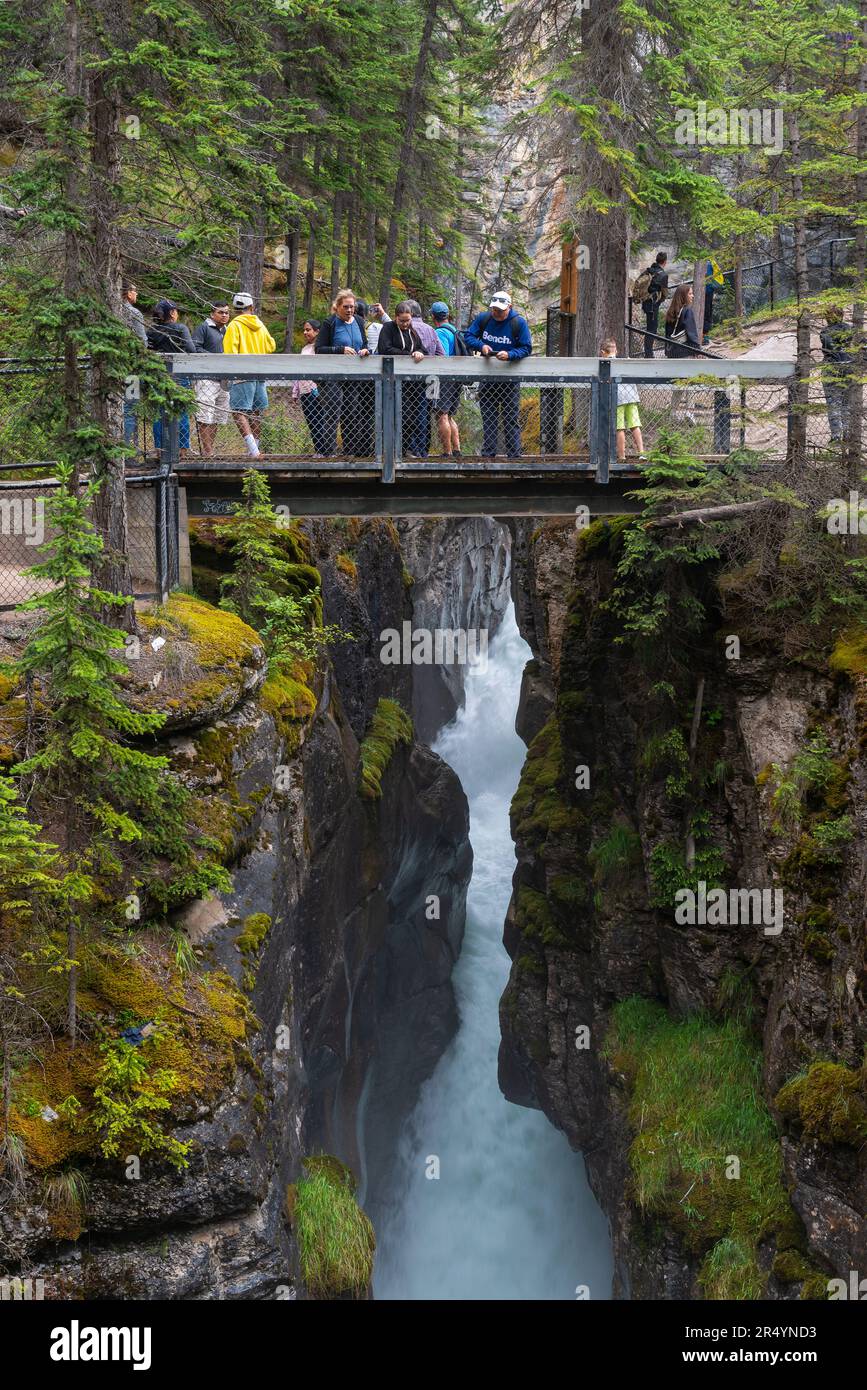 Touristen auf der Brücke entlang des Maligne Canyon wandern im Jasper National Park, Alberta, Kanada. Stockfoto