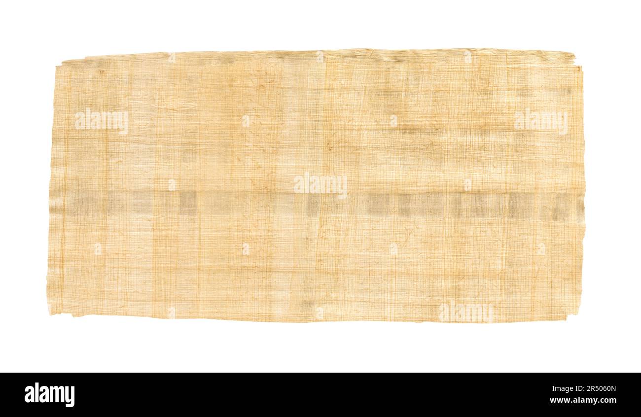 Alte braune Papyrus-Textur isoliert auf weißem Hintergrund. Bannerhintergrund Stockfoto