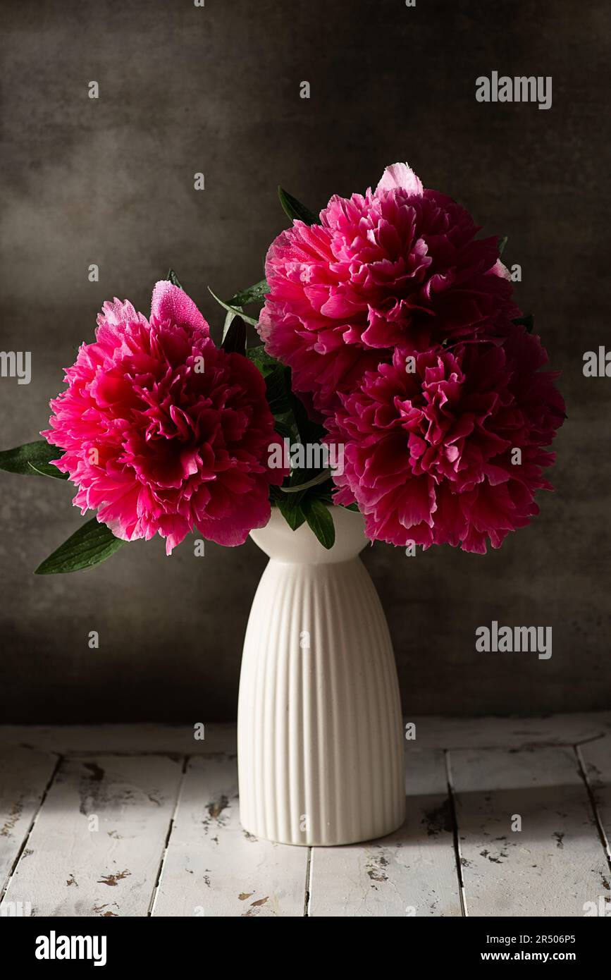 Pfingstrosen in einer Vase Stockfoto