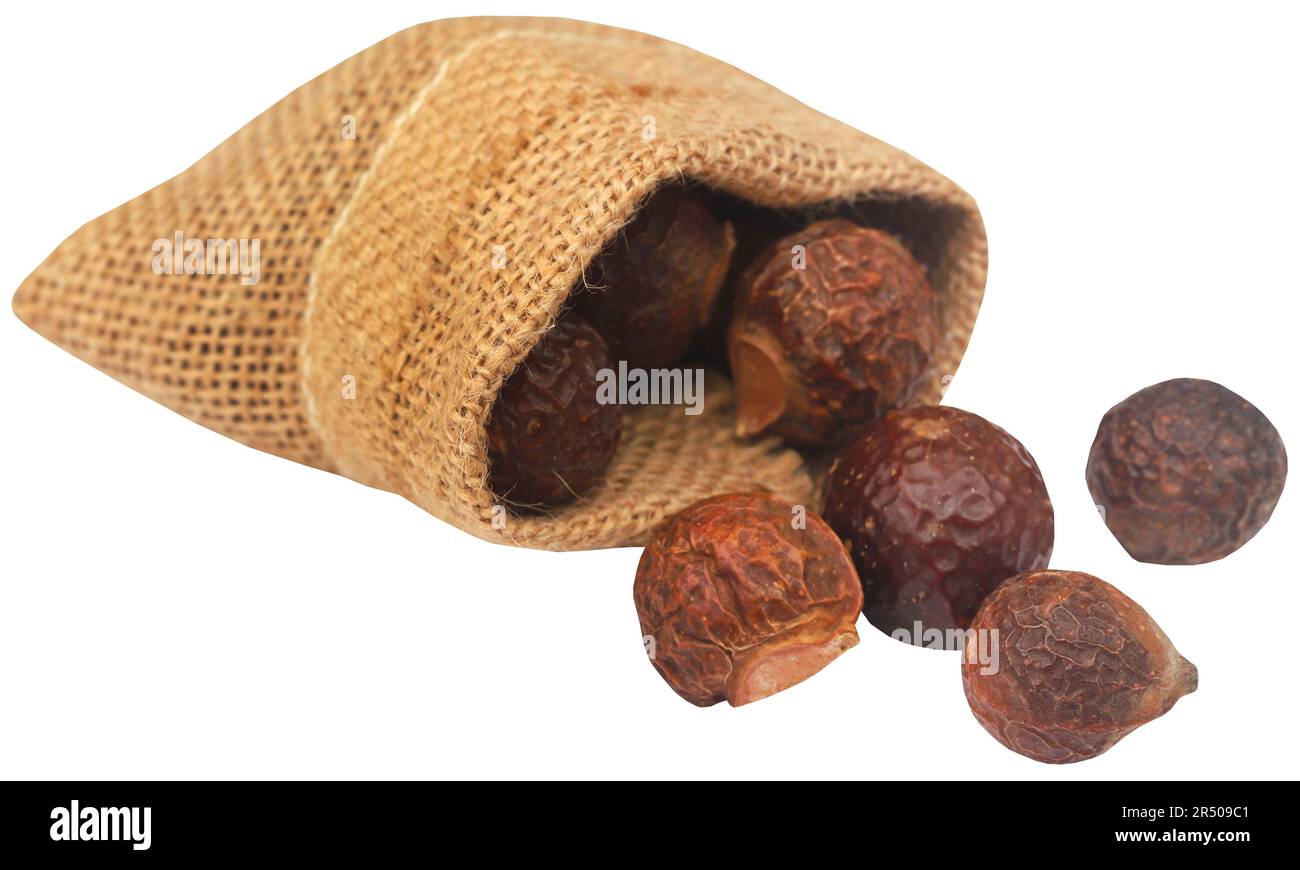 Sapindus Mukorossi oder Indische soapberry in vielen pharmakologische und Reinigung verwendet Stockfoto