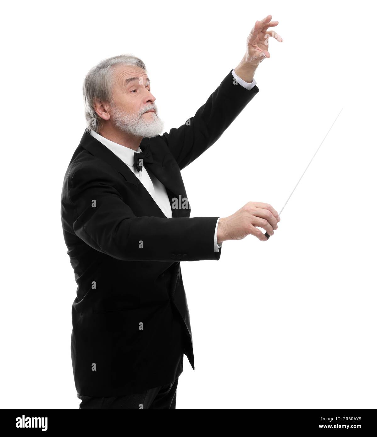 Professioneller Leiter mit Stab auf weißem Hintergrund Stockfoto
