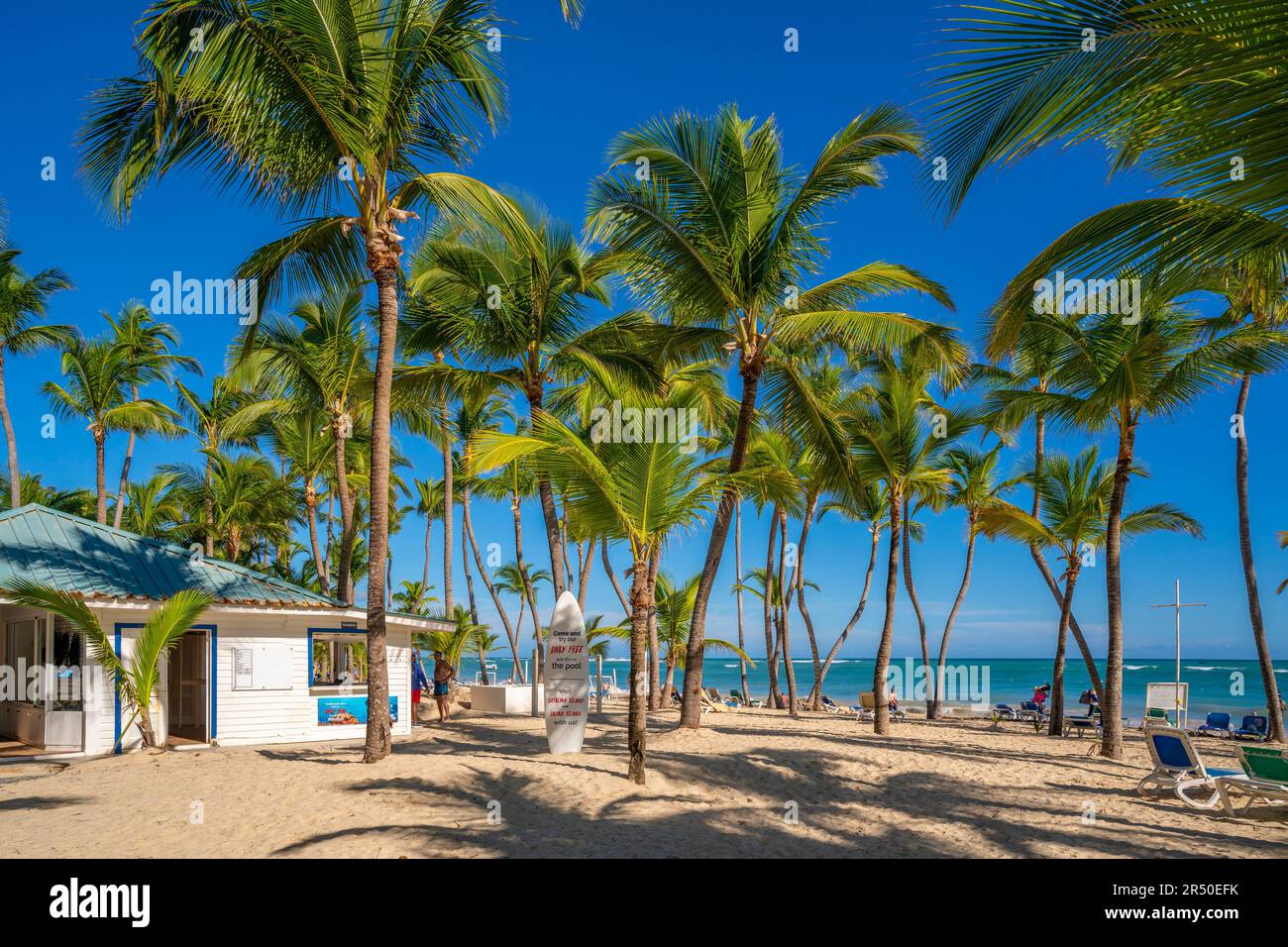 Blick auf Palmen am Bavaro Beach, Punta Cana, Dominikanische Republik, Westindischen Inseln, Karibik, Mittelamerika Stockfoto