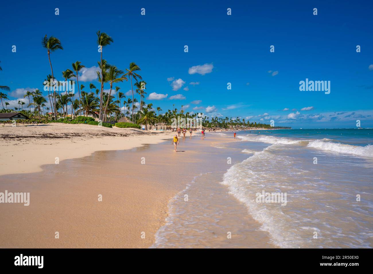 Blick auf Palmen und Meer am Bavaro Beach, Punta Cana, Dominikanische Republik, Westindischen Inseln, Karibik, Mittelamerika Stockfoto