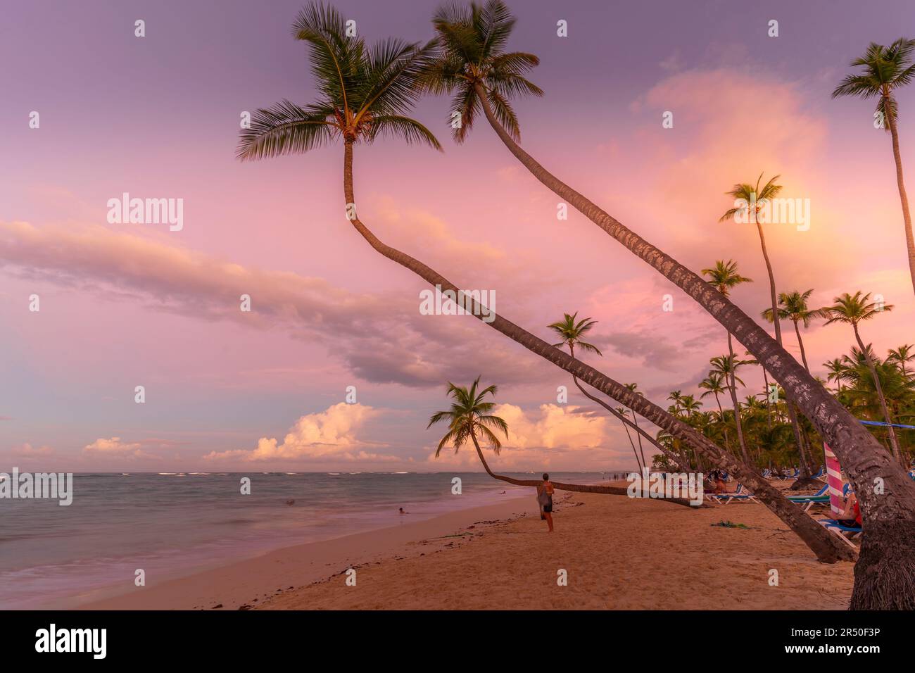 Blick auf Palmen und Meer am Bavaro Beach bei Sonnenuntergang, Punta Cana, Dominikanische Republik, Westindischen Inseln, Karibik, Mittelamerika Stockfoto