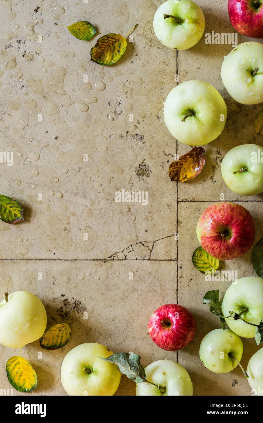 Gelbe, grüne und rote Äpfel und Herbstblätter Stockfoto