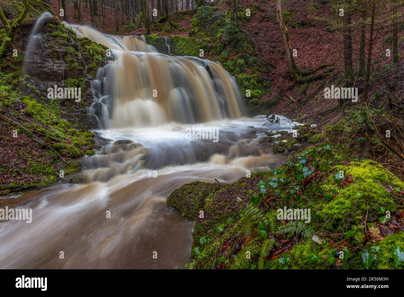 Wasserfall nach Regen Stockfoto