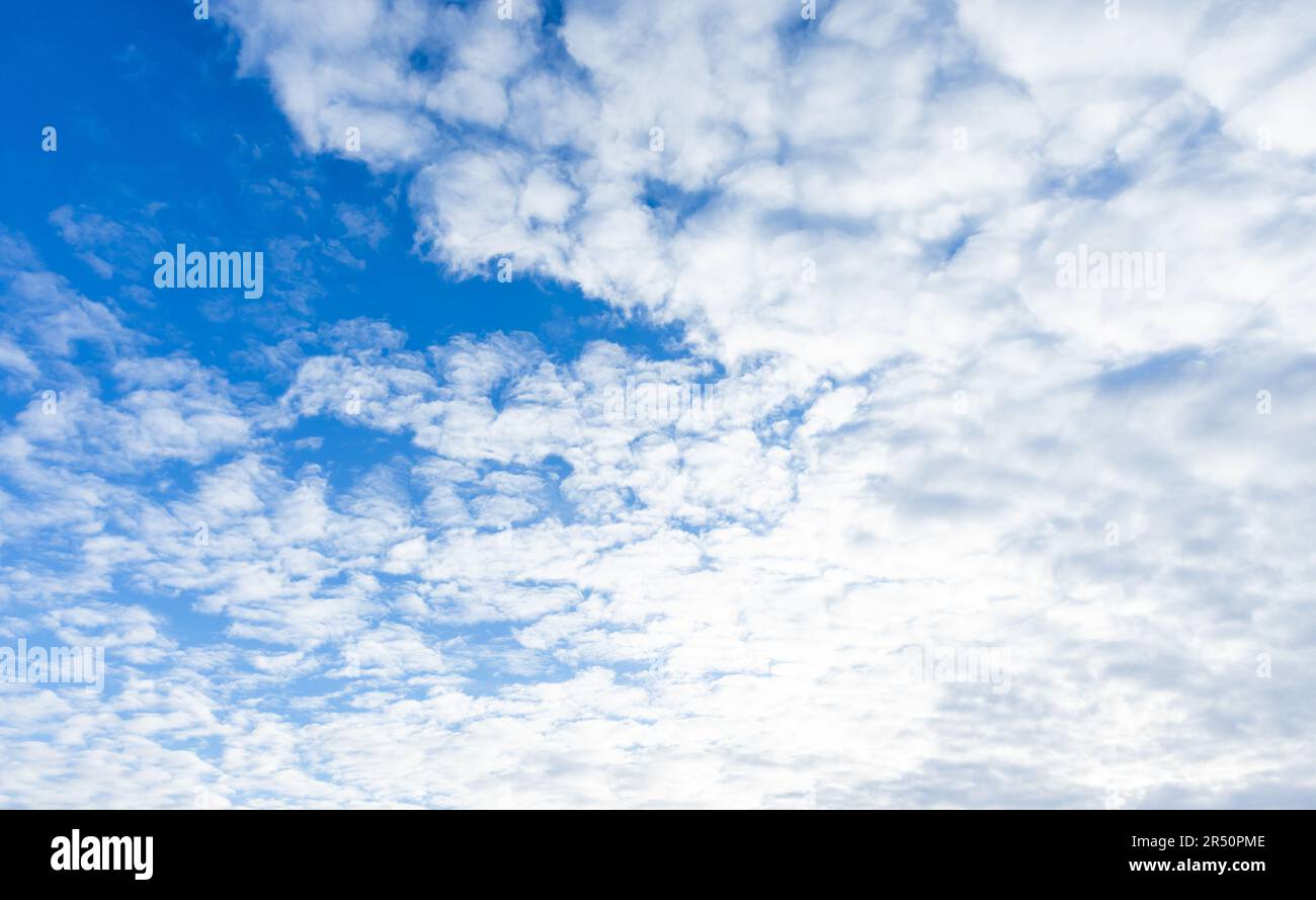 Blauer Himmel mit weißen Altocumulus-Wolken an einem sonnigen Tag, natürliche Fotostruktur im Hintergrund Stockfoto