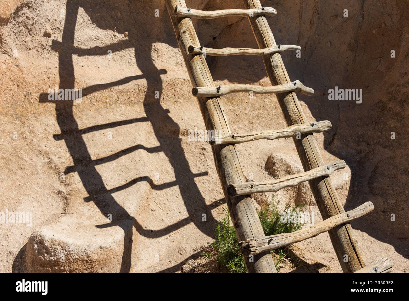 Eine geschälte Baumstammleiter lehnt an einer glatten Tuffwand und wirft lange Sattelberschatten über den sonnenbeschienenen Felsen im Bandelier-Nationalmonument in New Mexico. Stockfoto