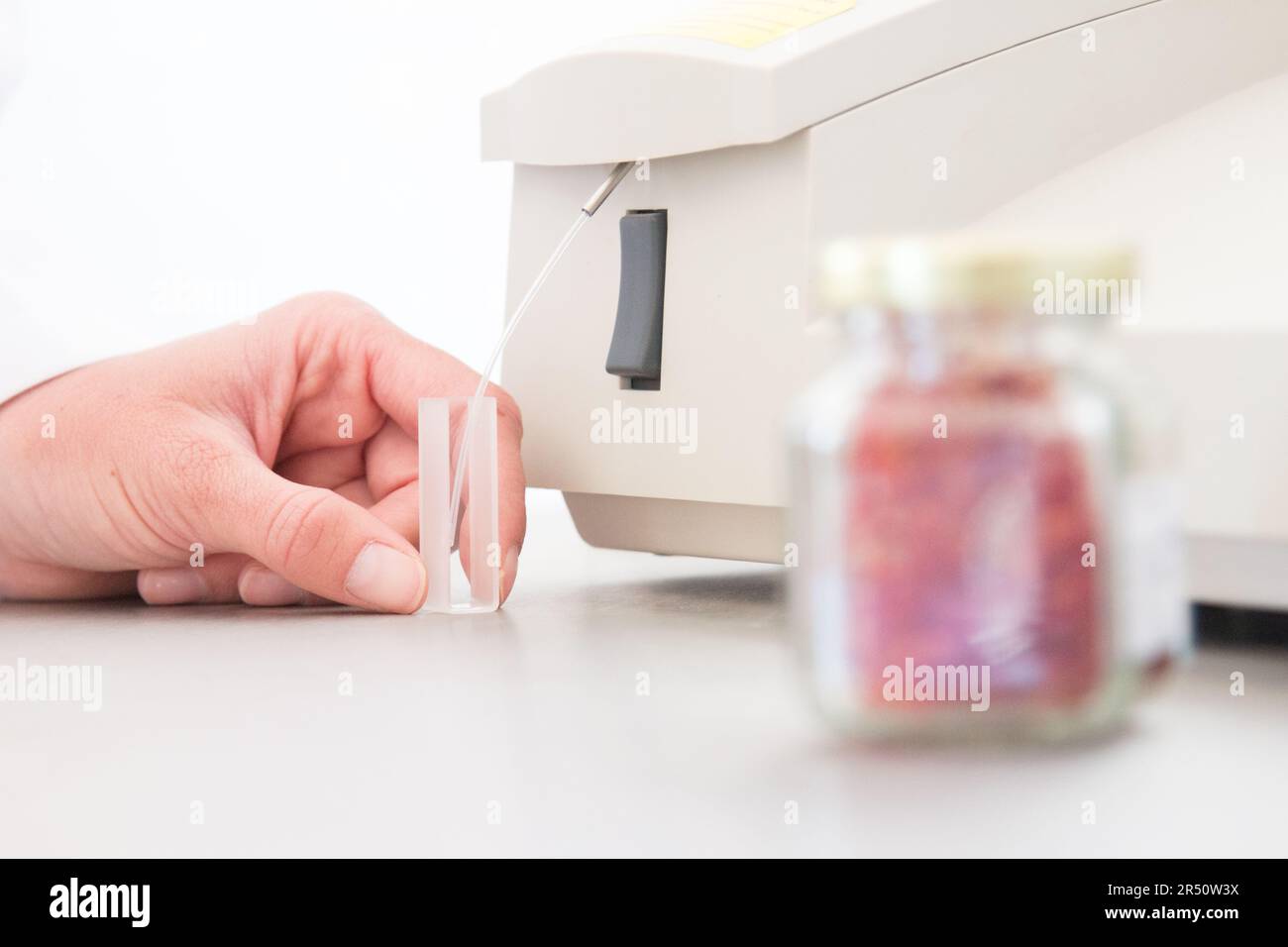 Maison du Safran in Taliouine, Südmarokko: Labortests und Qualitätskontrolle von Saffron Stockfoto