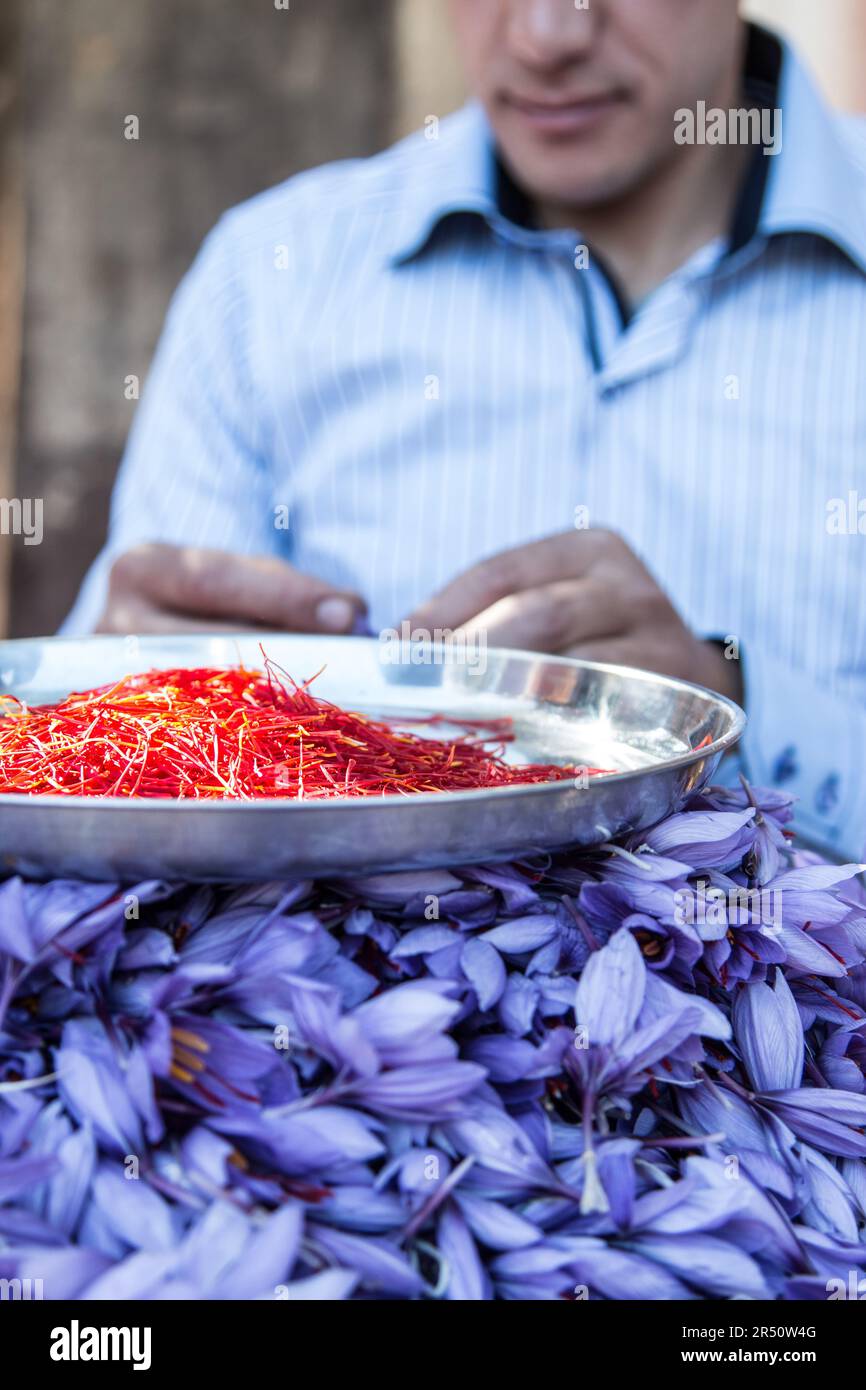 Safranstigmen auf einem Teller auf einem Safranblumenhaufen Stockfoto