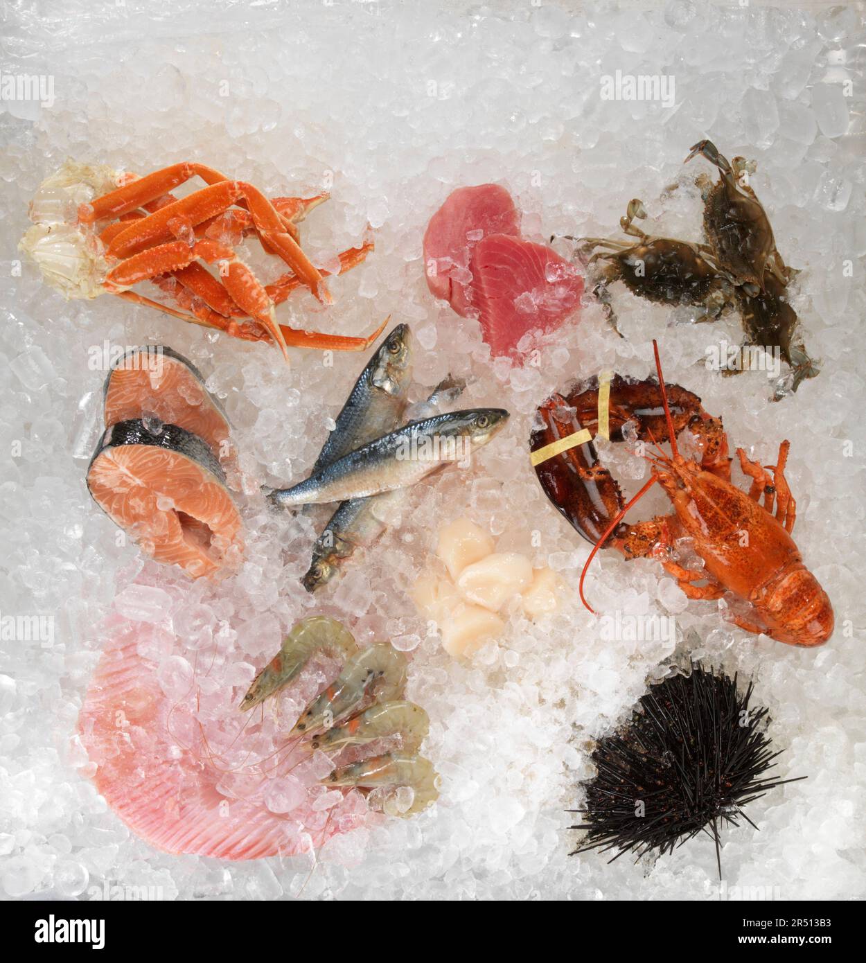 Frische Meeresfrüchte und Fisch auf Eis Stockfoto
