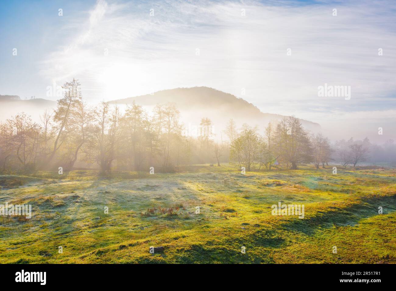 Landschaft auf einem nebligen Sonnenaufgang. Wunderbare Natur fallen Landschaft im Morgenlicht. Laubwald auf einer grünen Wiese im Nebel. Atemberaubende w Stockfoto