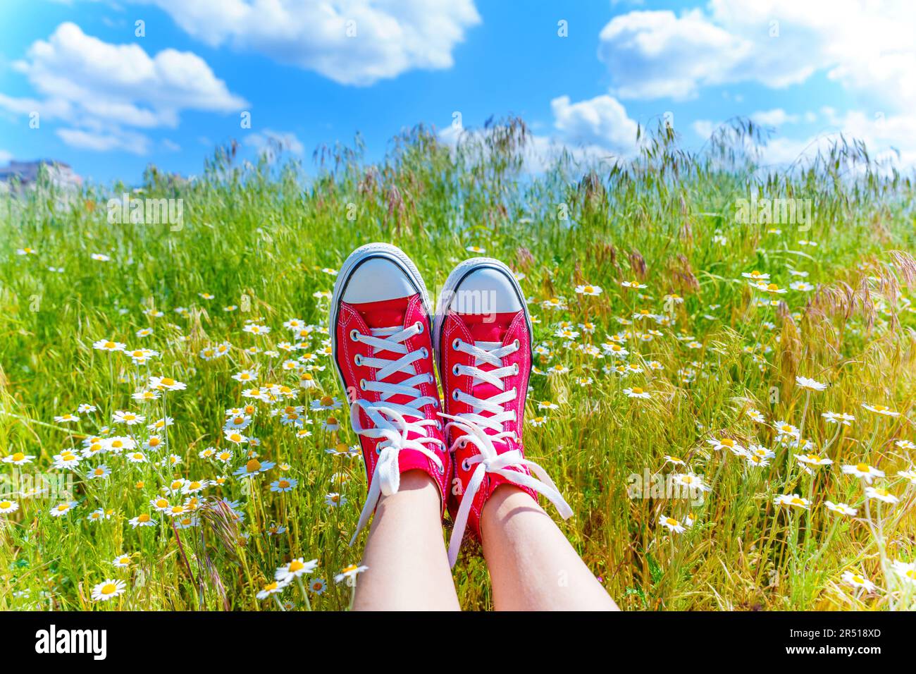 Ein Paar Füße, geschmückt mit roten Leinenschuhen, liegen inmitten eines pulsierenden Feldes von Gänseblümchen, mit einem malerischen Blick auf den blauen Himmel. Stockfoto
