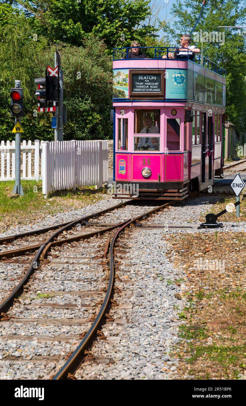 Rosafarbene Doppeldeckerbahn Nr. 11 11, Seaton Tramway Electric, zwischen Seaton und Colyton Kreuzung in Colyford Devon, Großbritannien im Mai Stockfoto