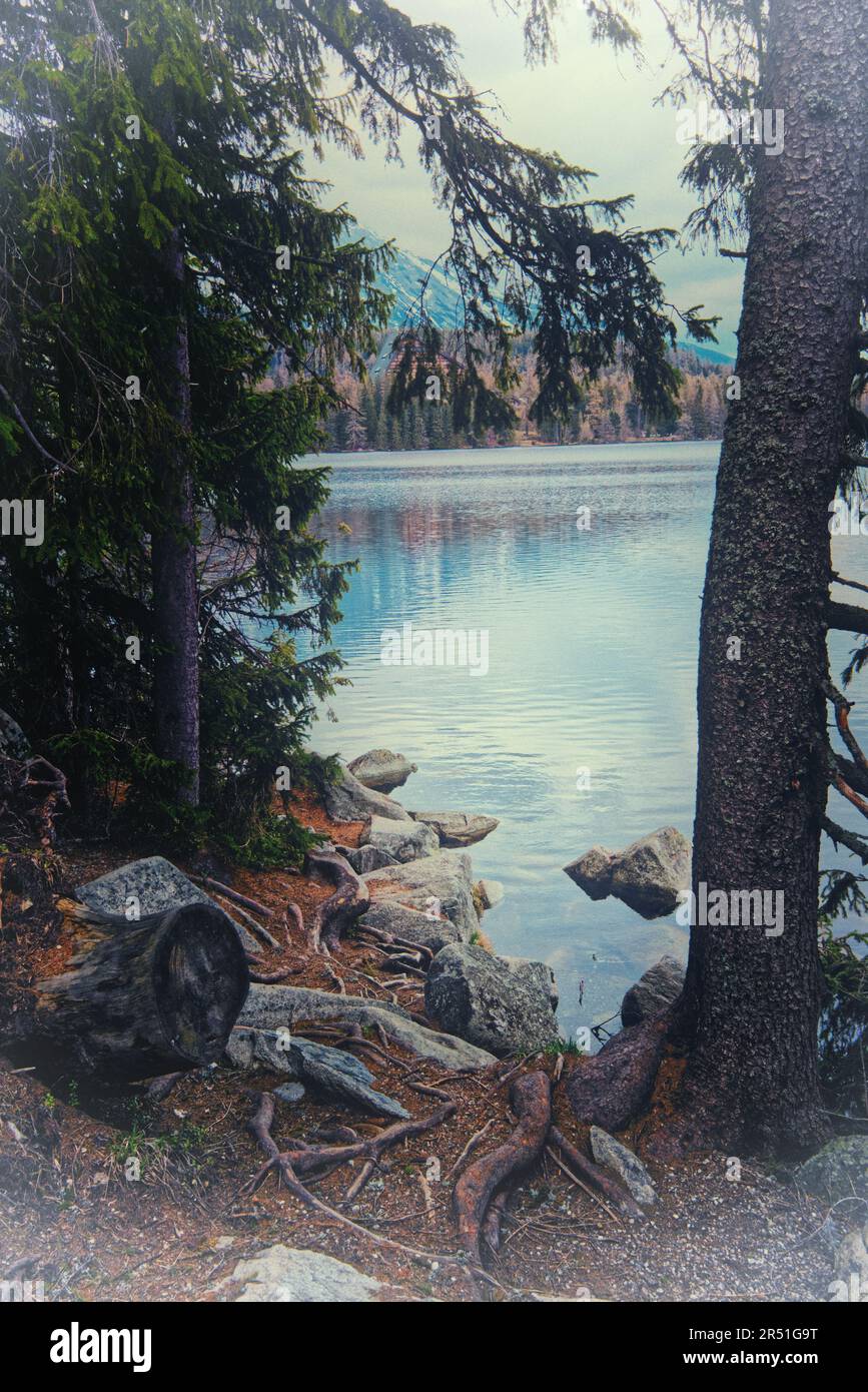strbske pleso im tatra-Gebirge in der Slowakei Stockfoto