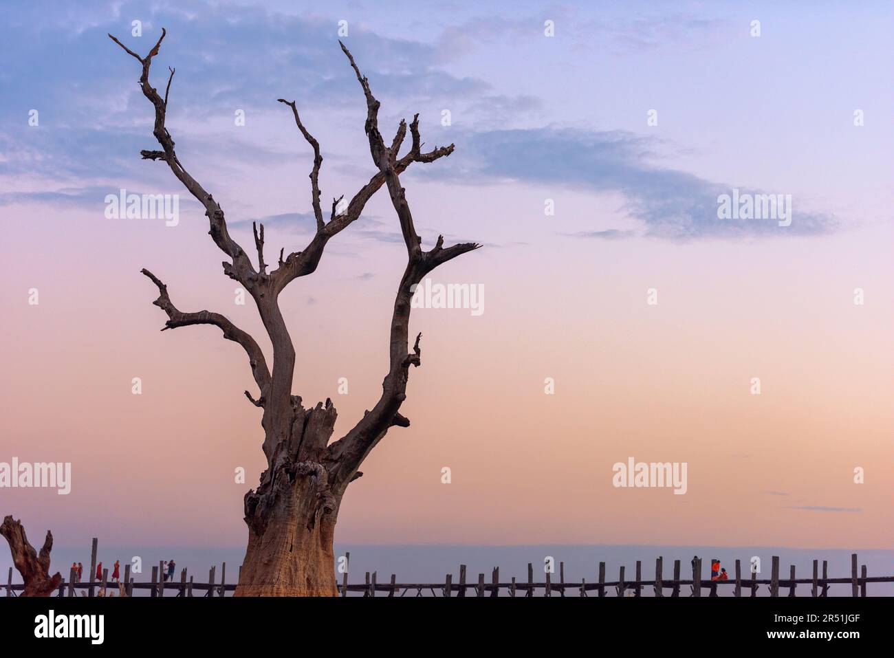 Die U-Bein-Brücke in Mandalay, Myanmar bei Sonnenaufgang. Stockfoto