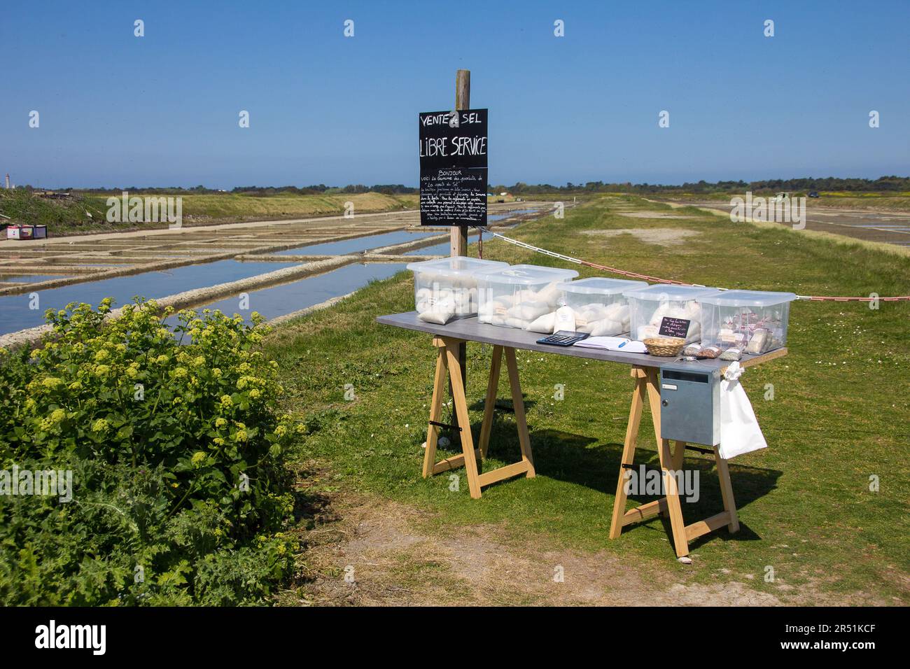 Vente de sel dans les marais salants de l'ile de Ré, Frankreich Stockfoto
