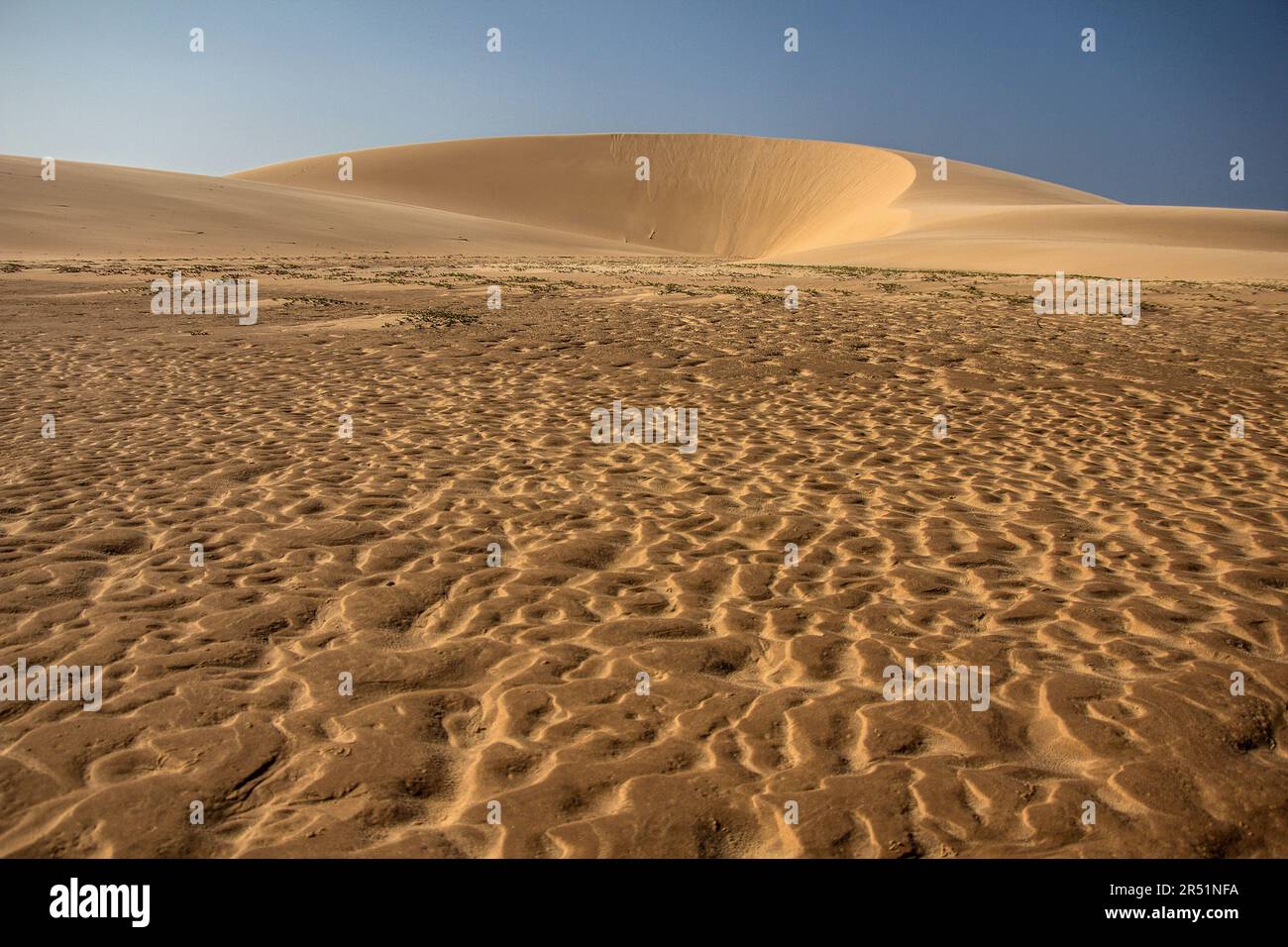 Nationalpark Lençóis Maranhenses, brasilien Stockfoto