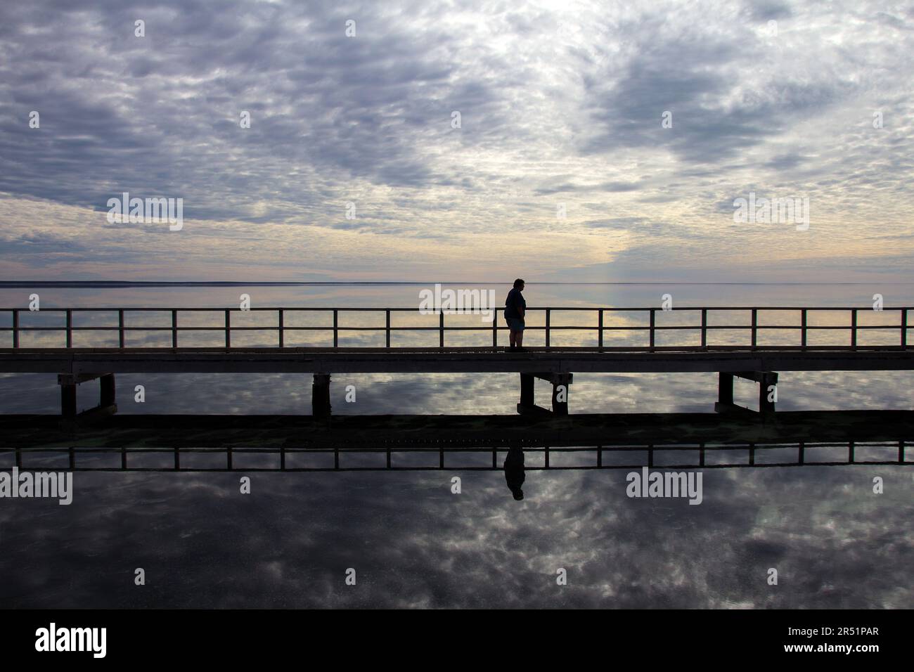 Stromaliten in der Haibucht australiens Stockfoto