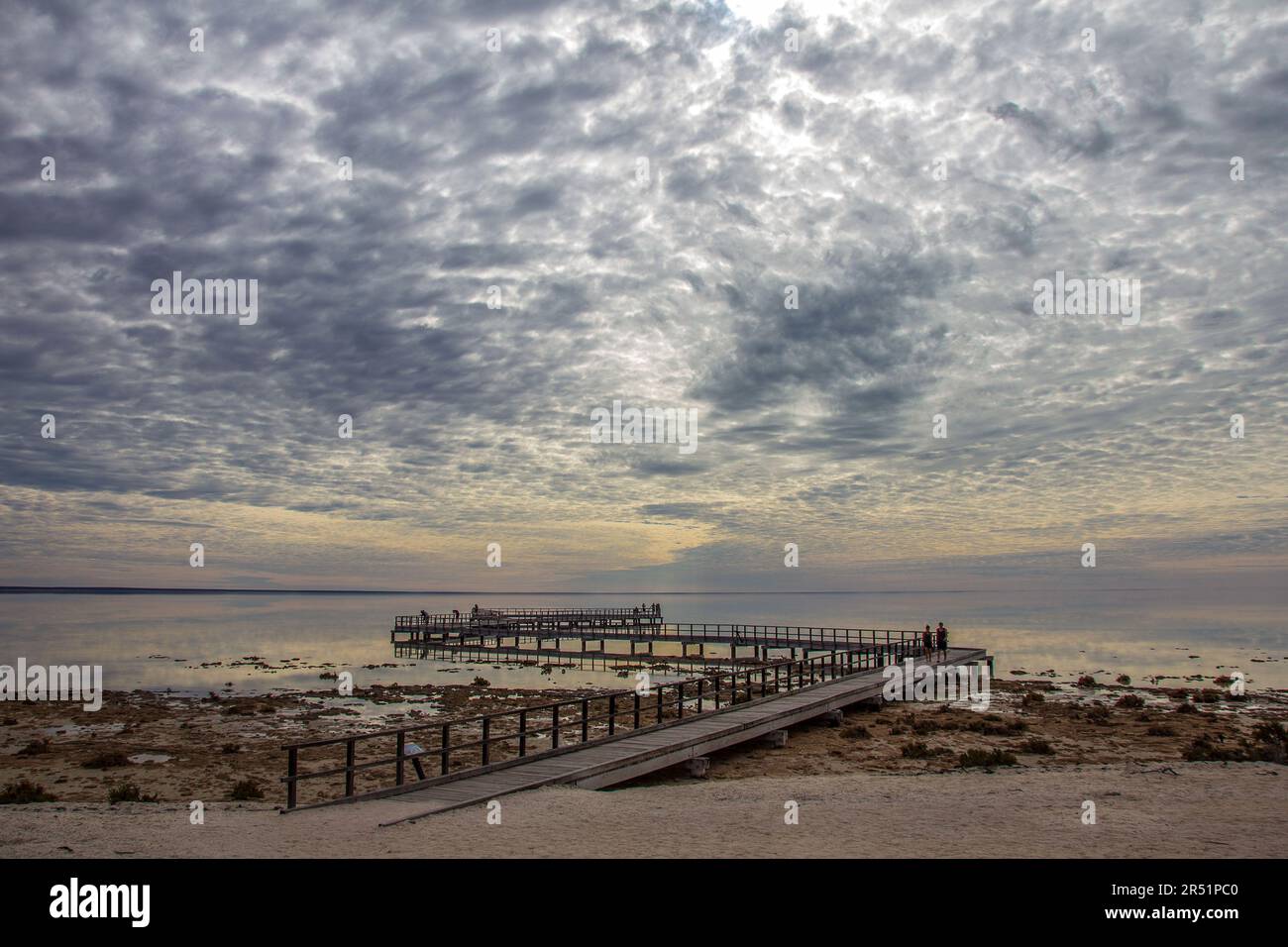 Stromaliten in der Haibucht australiens Stockfoto