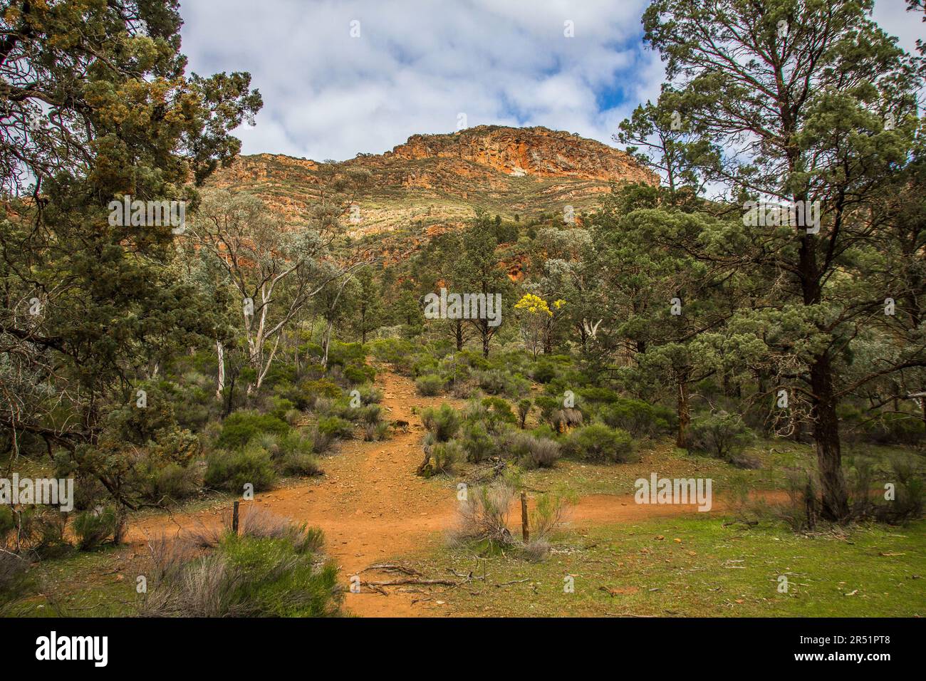 Landschaften der Flinders Range in Australien Stockfoto