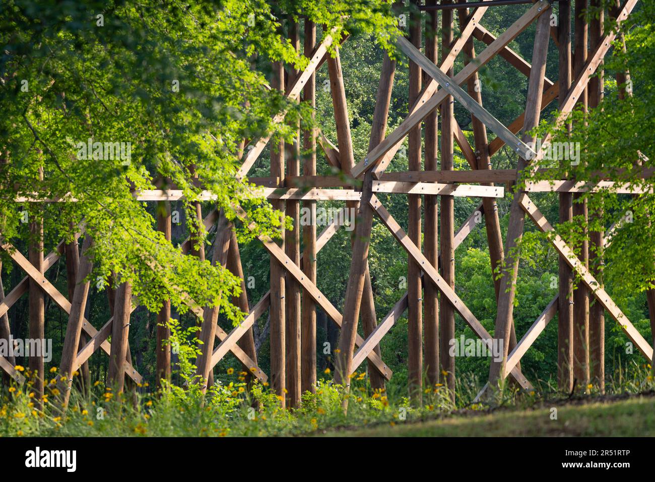 Dudley Park in Athen, Georgia, USA. Stockfoto